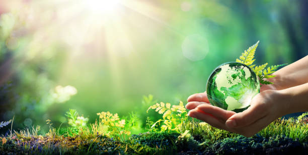 💧 El Agua que Bebemos Define el Futuro que Vivimos