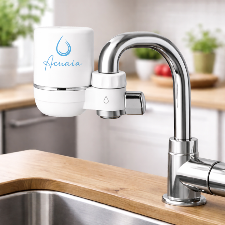 TARA Faucet System