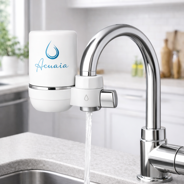 TARA Faucet System