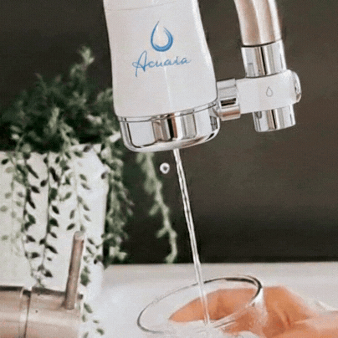 TARA Faucet System
